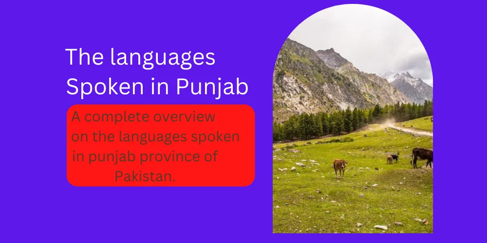languages spoken in punjab