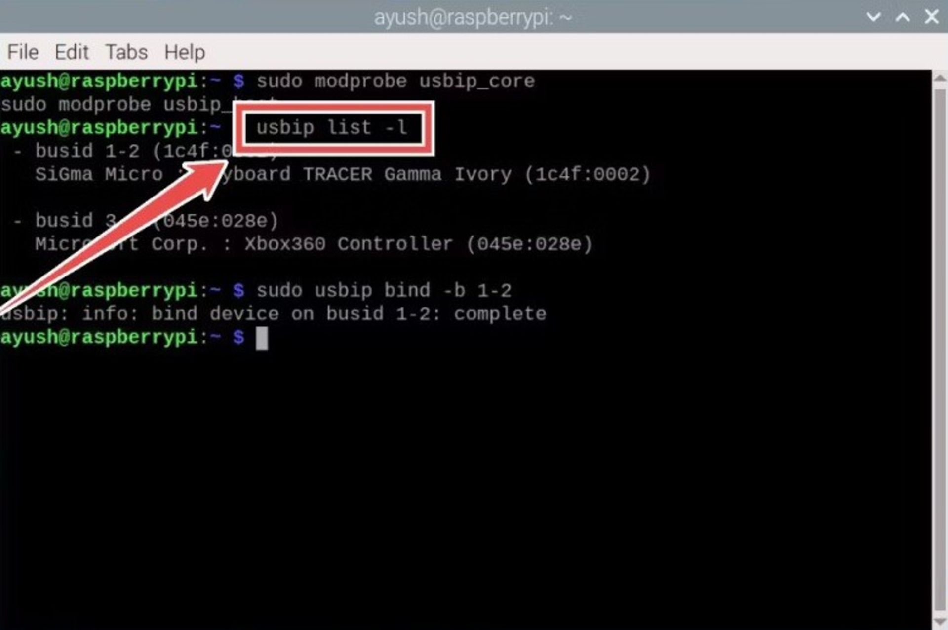 Running the usbip command with the list parameter in the terminal program of the Raspberry Pi operating system