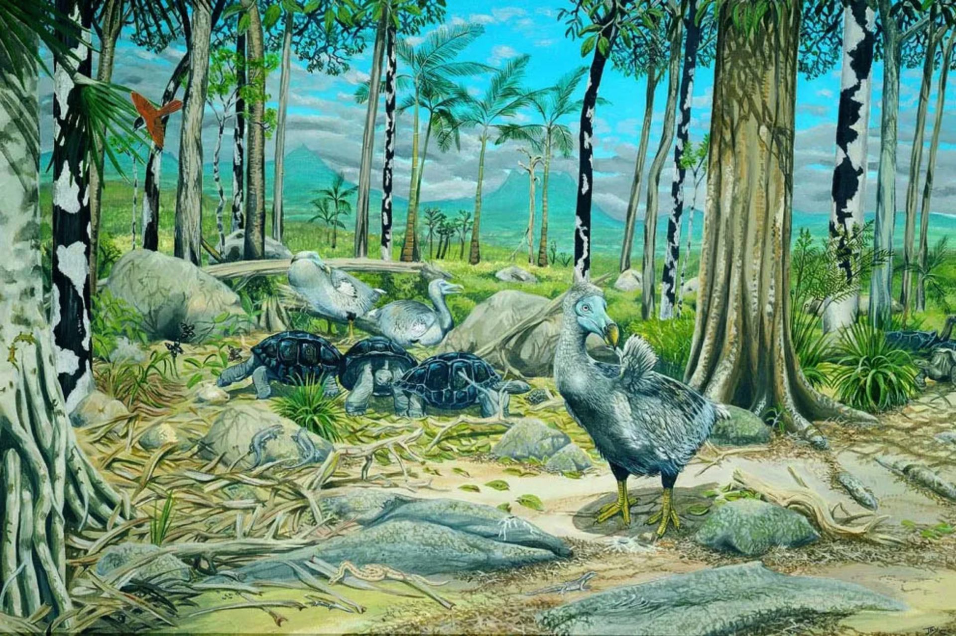 Dodo in its native ecosystem